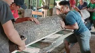 What can be produced from these logs