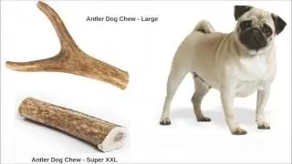 Natural Dog Company, Natural and Organic Dog Products