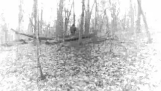 The Legend of Lake Wedington