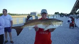 Jiggin' Jerry Inshore Fishing After the Flooding in Charleston, SC