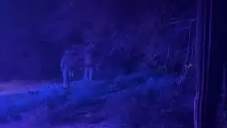 Thousands of Nancy Guthrie tips pour in as search continues