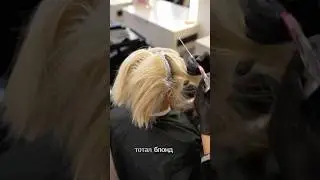 Total Blonde: All the Nuances
