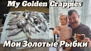 How to cook Crappie. Как Приготовить Краппи.