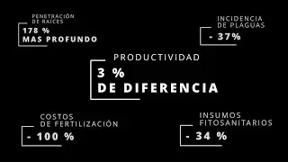 🇪🇸 EL PRIMER TABACO REGENERATIVO - FSS System Restorative Agronomy (TEASER)