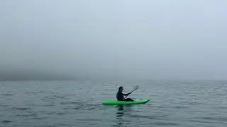 Salcombe 2024