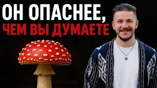 Чем на самом деле ОПАСЕН МУХОМОР? (Мой опыт)