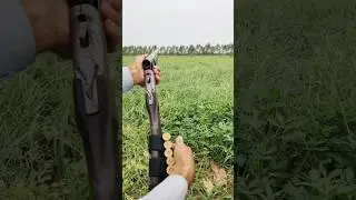 Single Barrel Blast #ShotgunFire #SingalBarrel #GunShorts #GunAction