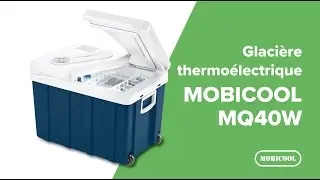 Glaci&egrave;re thermo&eacute;lectrique MQ40W