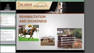 Rehabilitating the Lame Horse