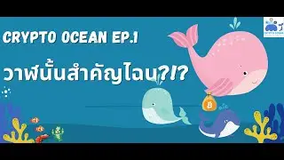 EP.1 วาฬนั้นสำคัญไฉน!?! | Follow the whales | Crypto Ocean