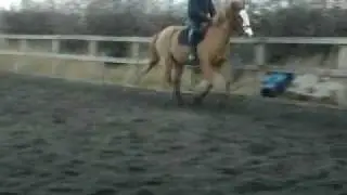 08Soph11 and MyHorseTommy riding