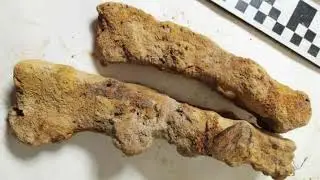 Weapons of Germanic Tribes from Roman Era Discovered in Poland
