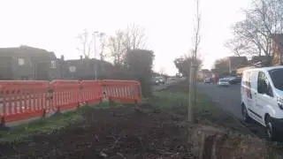 Arbury Road Hedge Destruction
