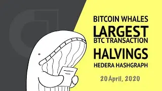 Crypto Weekly News &mdash; BITCOIN WHALES, LARGEST BTC TRANSACTION, BITCOIN HALVING, HEDERA HASHGRAPH