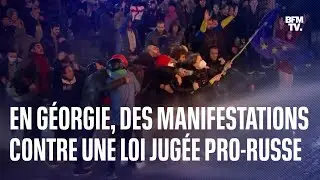 En G&eacute;orgie, une manifestante brandit un drapeau europ&eacute;en contre un projet de loi controvers&eacute;