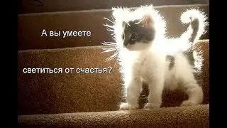 Концерт   