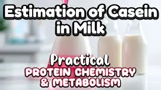 Casein Estimation in Milk / Ca.Caseinate &bull; Practical Protein Chemistry