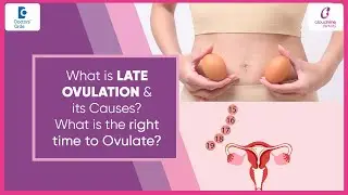 Ovulation days after period | Delayed Egg release| Late ovulation Causes #pregnancy-Dr.Monika Narang