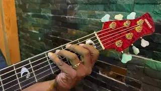 Covenant Praise (Catch the Holy Ghost Fire )-         Bass Cover