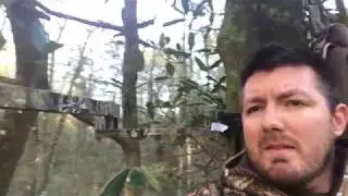 DIY camera arm for hunting in tree stands - tree mount for gimbal, camera,  or go pro