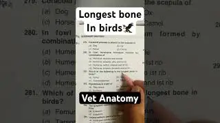 Vetdoctors#anatomy#veterinary#hostel#psc#biology
