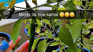 My babeee mini house tour or mirchi k kamal🏕🌶🌶#house#vlogs 