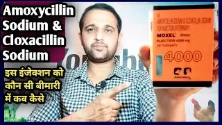 Moxel injection||Amoxycillin Sodium & Cloxacillin Sodium||Konsi Disease mein kab kase kare