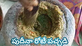 రుచికరమైన పుదీనా రోకలి పచ్చడి | Mint Stone Ground Chutney|Traditional Pachadi