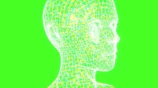 GREEN SCREEN HUMAN EFFECT