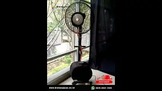 Rental Misty Fan Area Sunter Jakut