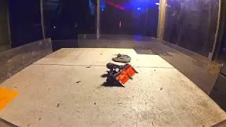 Sirpale vs Hornan Koje V2 [450g] Robosota Insomnia 2019