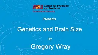 Genetics and Brain Size | Gregory Wray