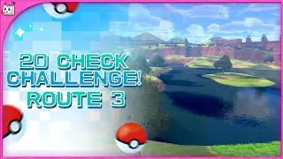 20 Check Challenge - Route 3! | Pokemon Sword & Shield