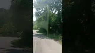 I Viali e Cigarello, frazione di Carpineti