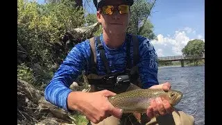 Fly Fishing the Colorado River!
