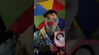 Clowns are joining Antifa ?!?!?! Portland ICE protests. #Ice #iceprotest #antifa #MAGA #portlandICE