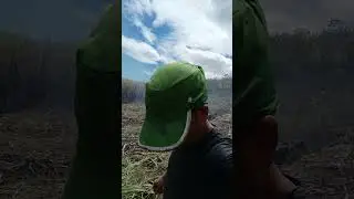 trabalhei a pulso com a fuma&ccedil;a n&oacute;s olhos