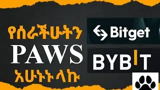 አሁኑኑ የሰራችሁትን Paws ተቀበሉ #paws  #pawsairdrop #airdrop