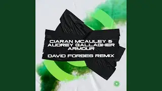 Armour (David Forbes Extended Remix)
