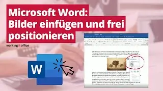 Microsoft Word: Bilder einf&uuml;gen und frei positionieren