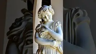 Human to statue🗿#statue #creative #childhood #art #satisfying #viralvideo #shortvideo #viralshorts