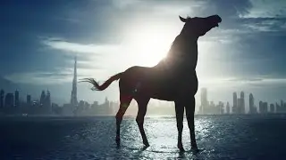 Dubai Racing Channel