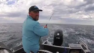 Nomad Design DTX Minnow - The Best Deep Diving Trolling Lure for Bluefin Tuna