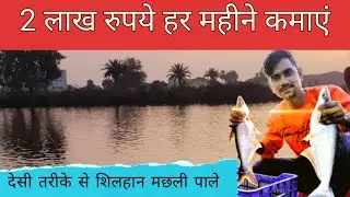 Fish Farming Business in India | Law Cost Technique | silhan Machli