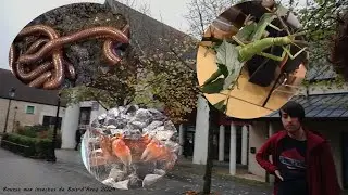 Ca y est, j'ai plus une thune (bourse aux insectes de Bois D'Arcy 2024)