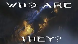 Unknown Species In Halo?