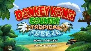 DONKEY KONG COUNTRY TROPICAL FREEZE PRIMEIRA VEZ