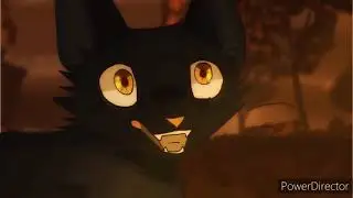 Warrior Cats PMV Comatose by Skilette