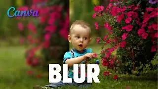 How To Blur Photo Background in Canva 2024