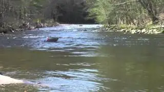 Squirt boating